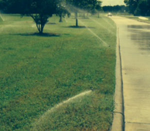 Sprinkler Repair Spring